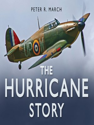 cover image of The Hurricane Story
